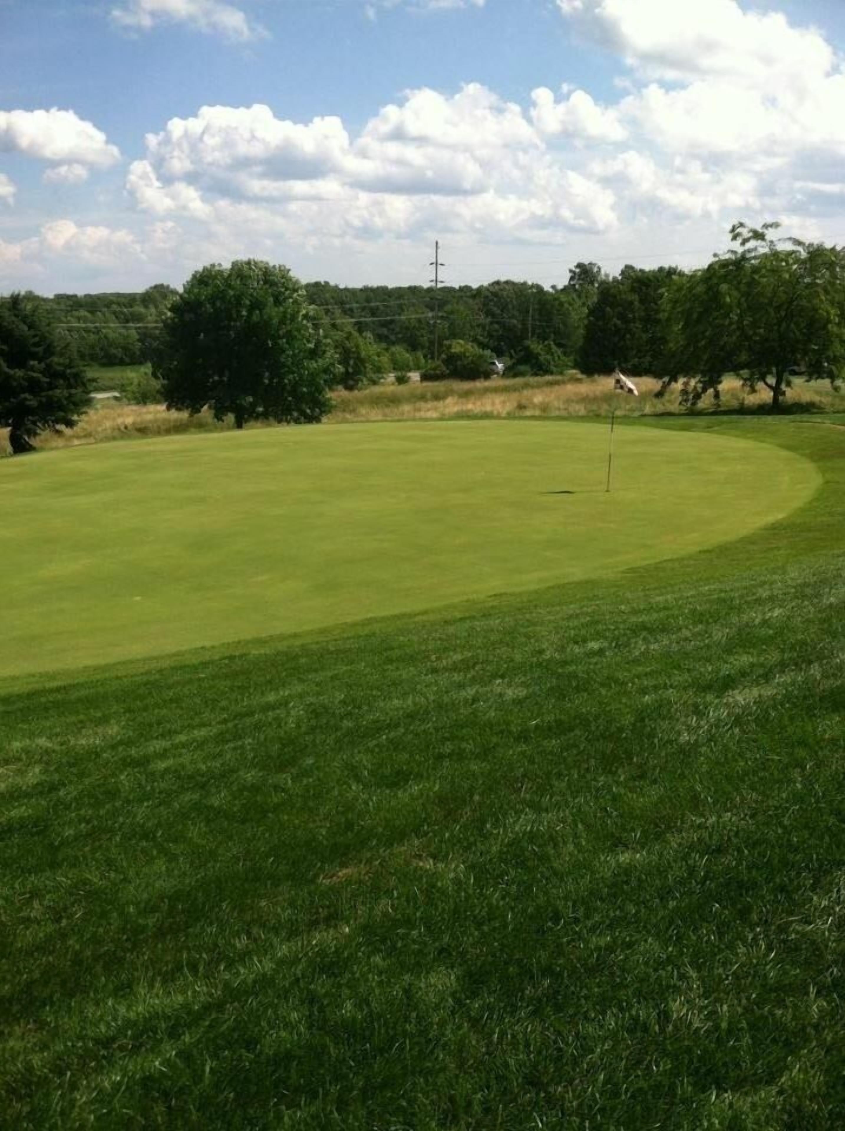 Campo de golf con un mástil de bandera, rodeado de árboles y un cielo despejado.