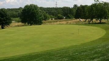 A golf course with a flagstick, surrounded by trees and a clear sky.