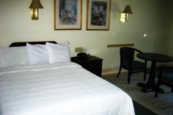 Standard Room, 2 Queen Beds, Non Smoking | Iron/ironing board (on request), WiFi (free), alarm clocks, bed sheets