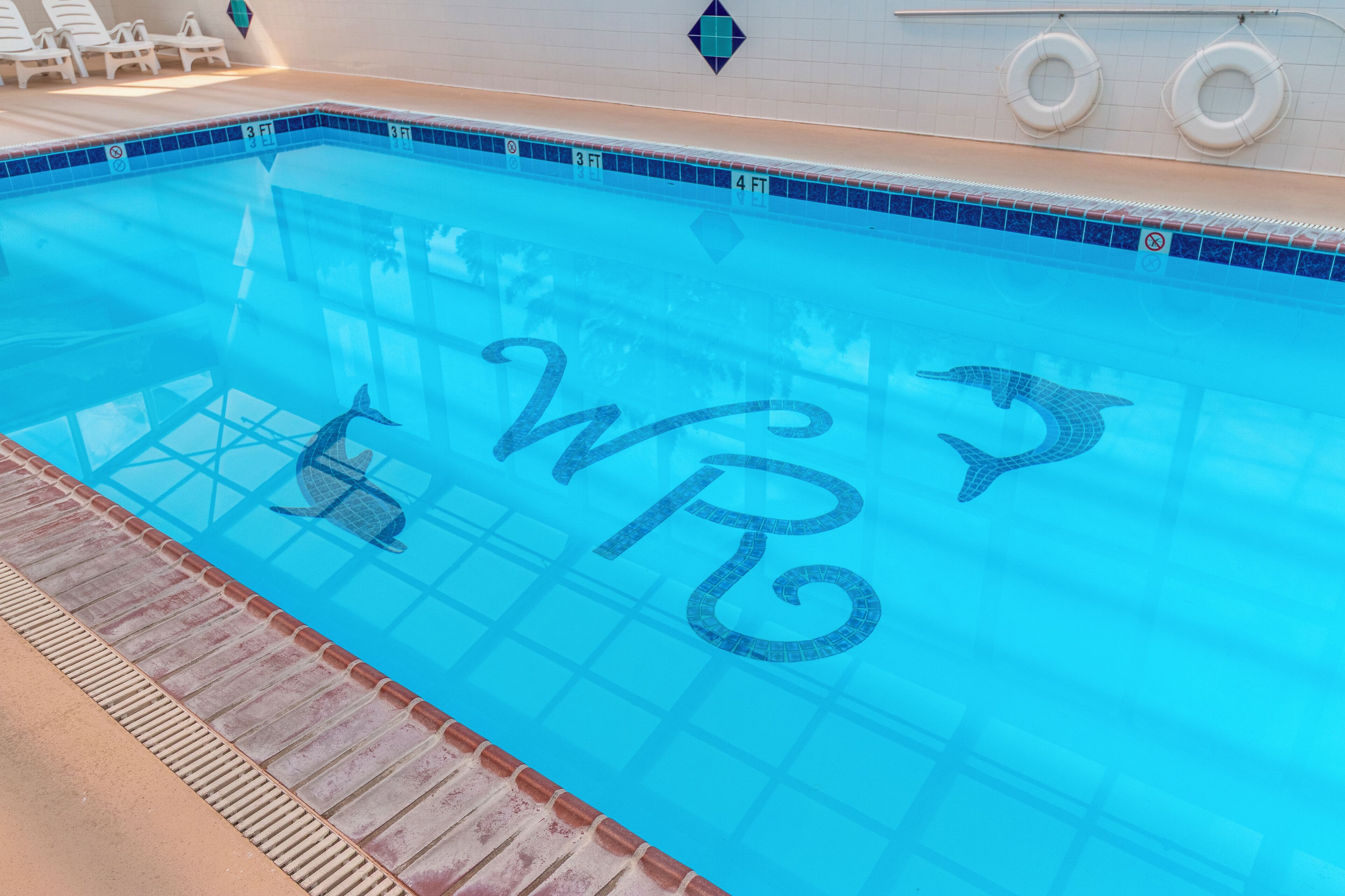 A swimming pool with a clear blue water surface and a dolphin design.