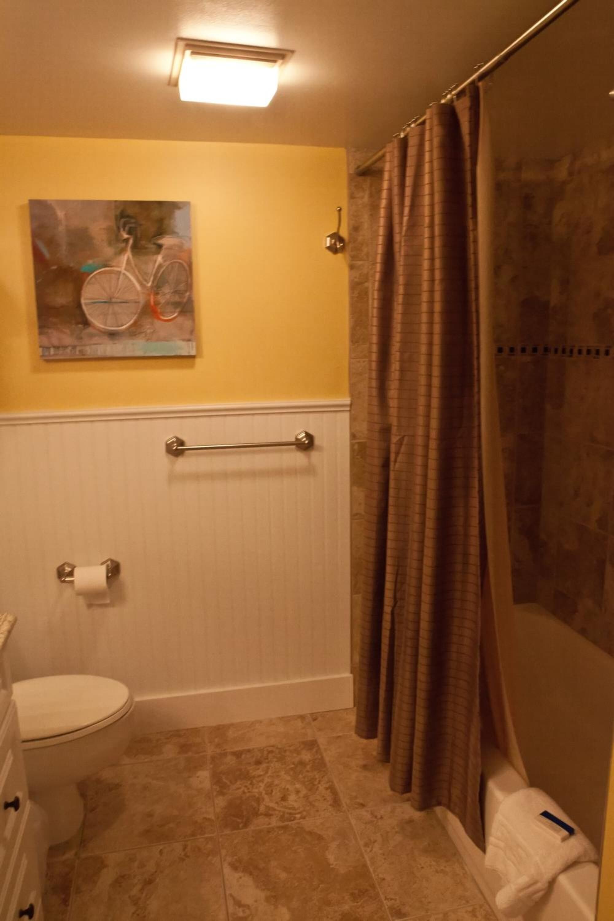 A bathroom with a toilet, a towel rack, a shower curtain, and a painting on the wall.