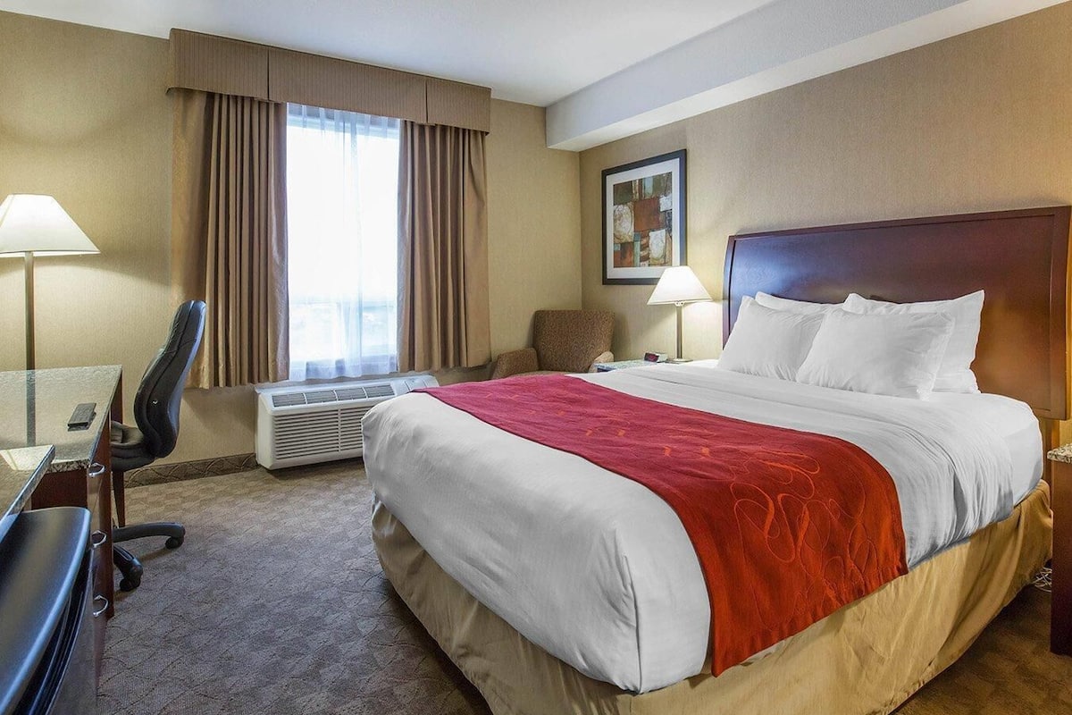 Standard Room, 1 Queen Bed, Non Smoking