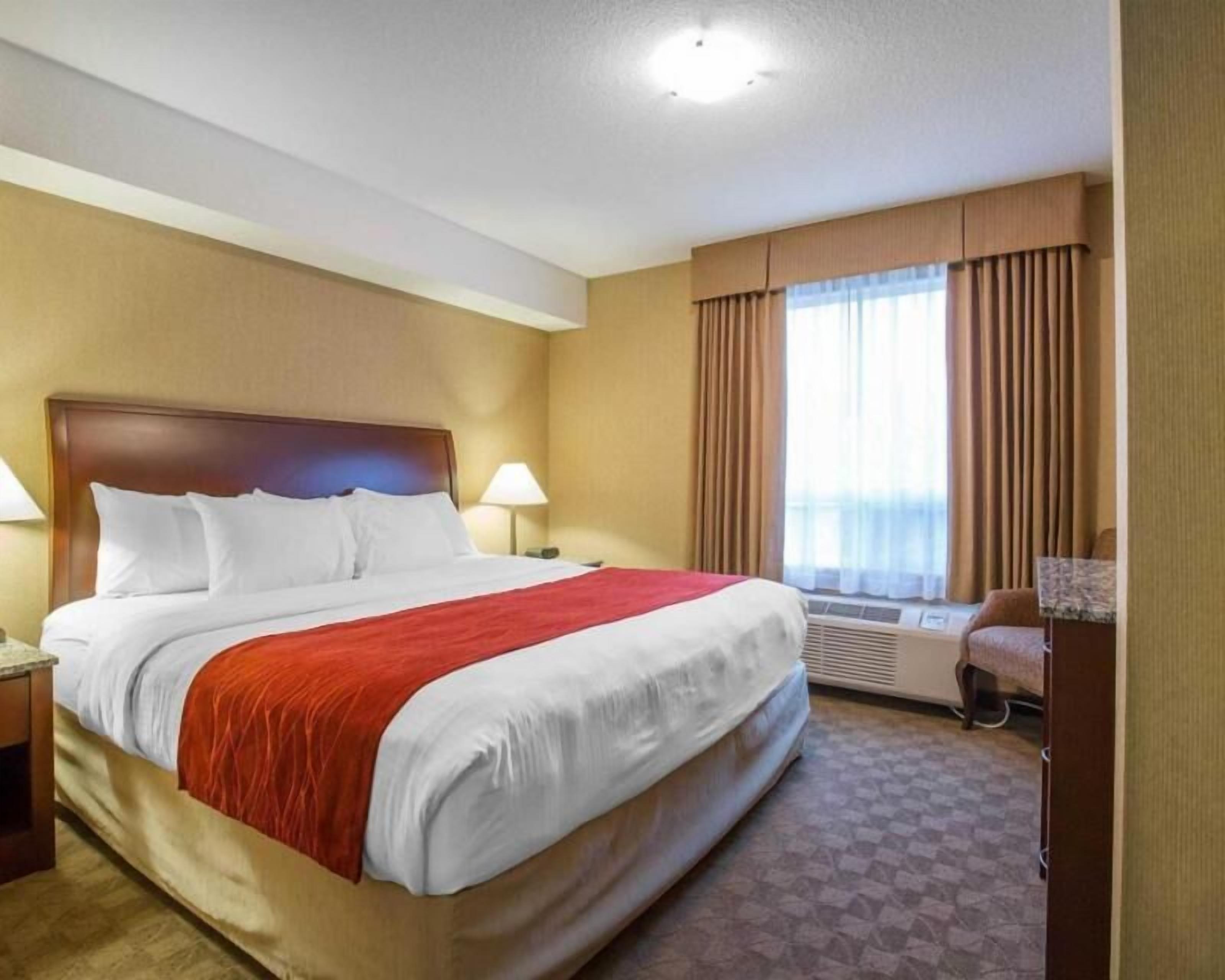 Ropa de cama de alta calidad, colchones con pillow-top y escritorio 