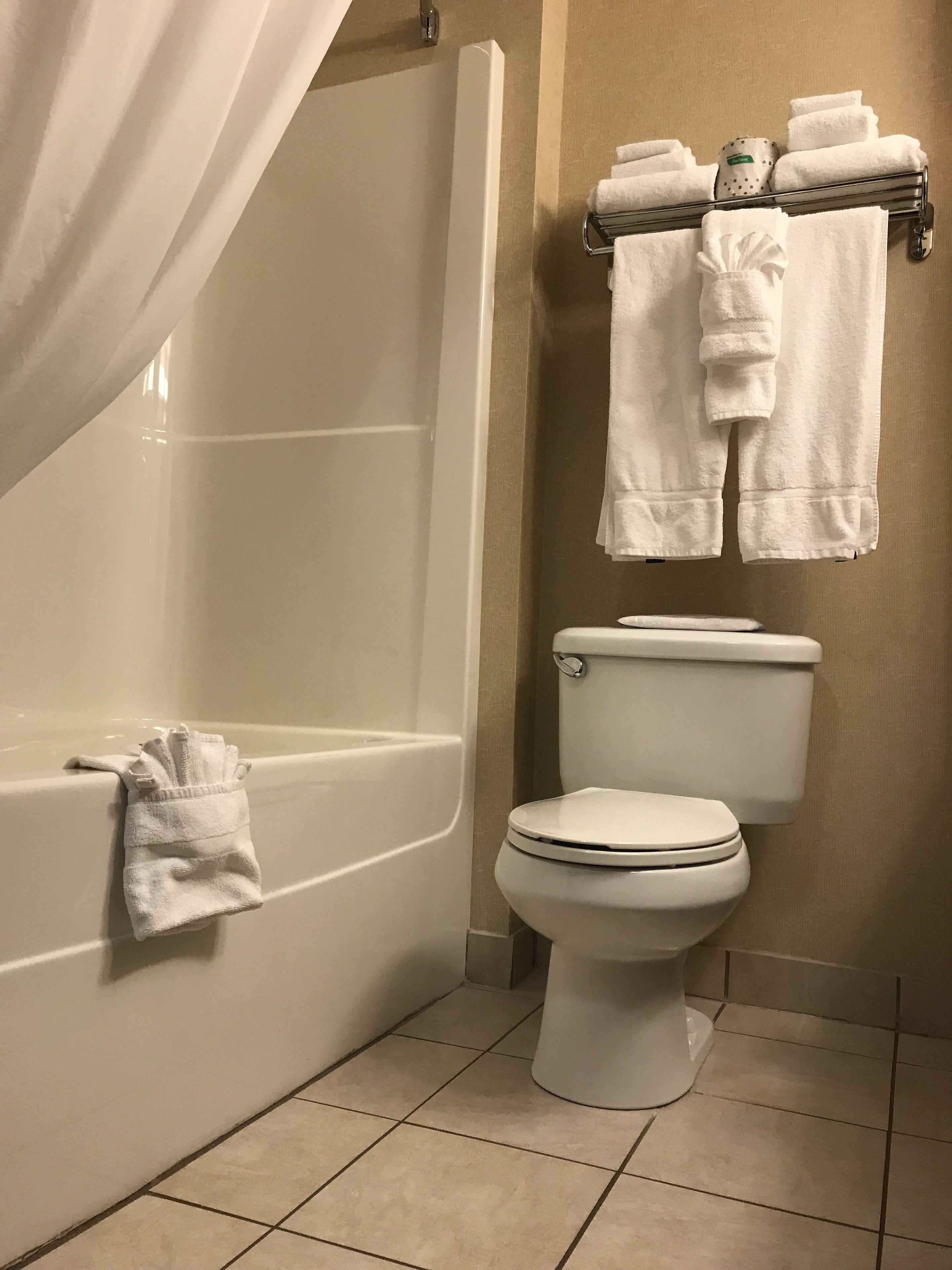 combined shower/bathtub, eco-friendly toiletries, hair dryer, towels