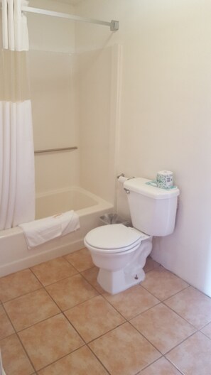 Combined shower/tub, rainfall showerhead, hair dryer, towels - Red Carpet Inn Pulaski (Pulaski)