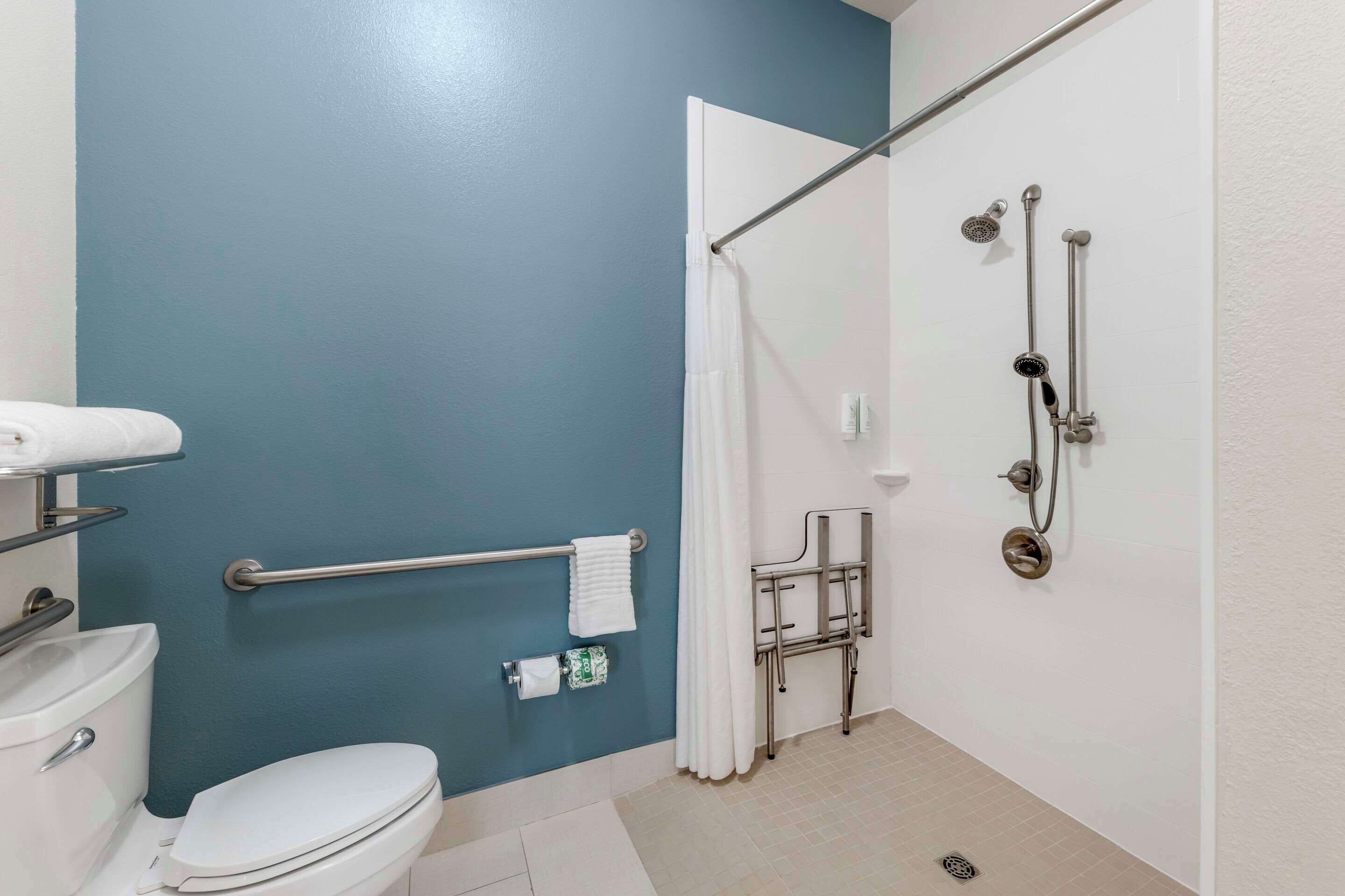 room, 1 king bed, accessible, non smoking | bathroom | hydromassage showerhead, designer toiletries, hair dryer, towels