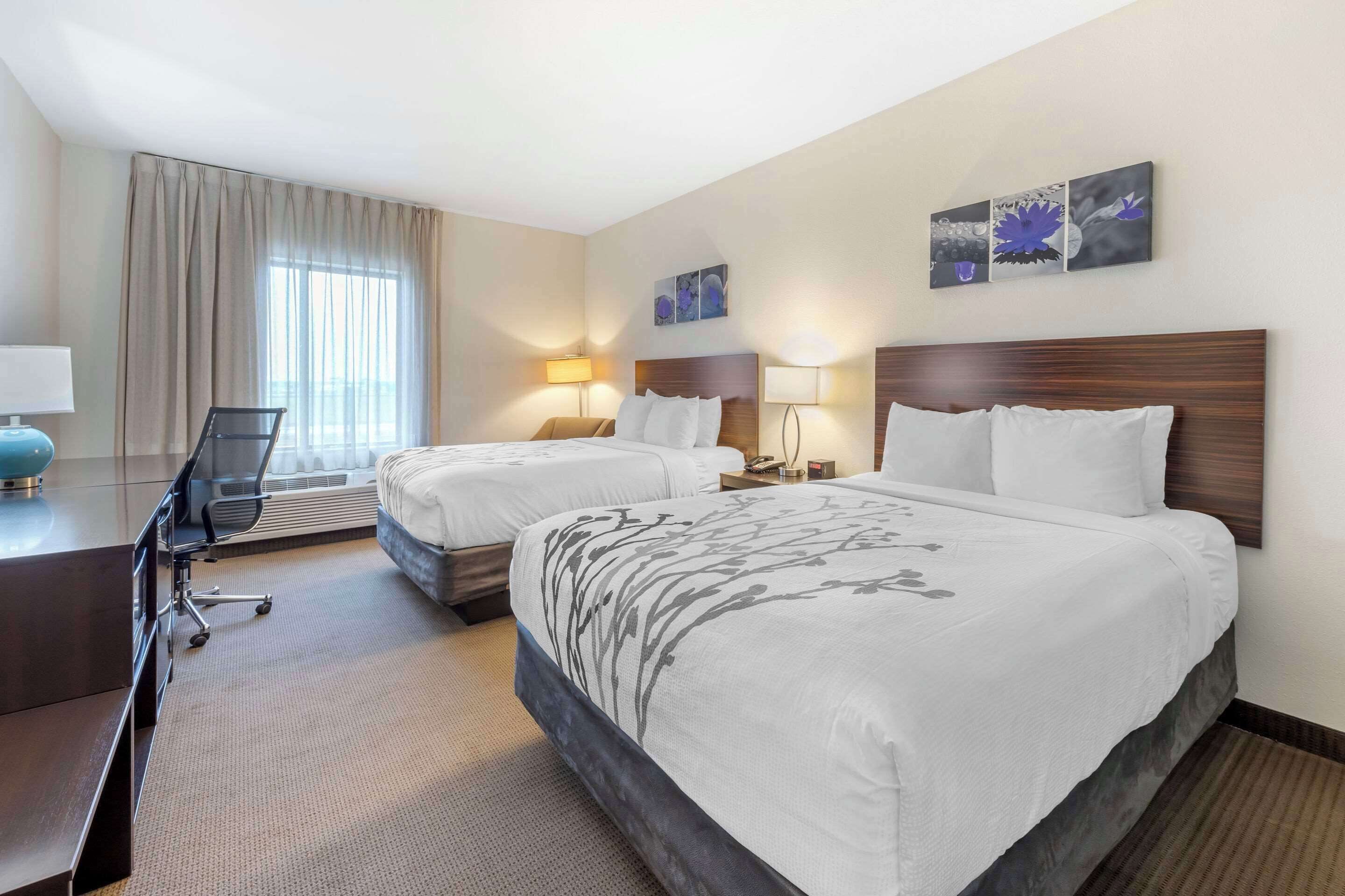 standard room, 2 queen beds, non smoking | premium bedding, down duvets, pillow-top beds, in-room safe