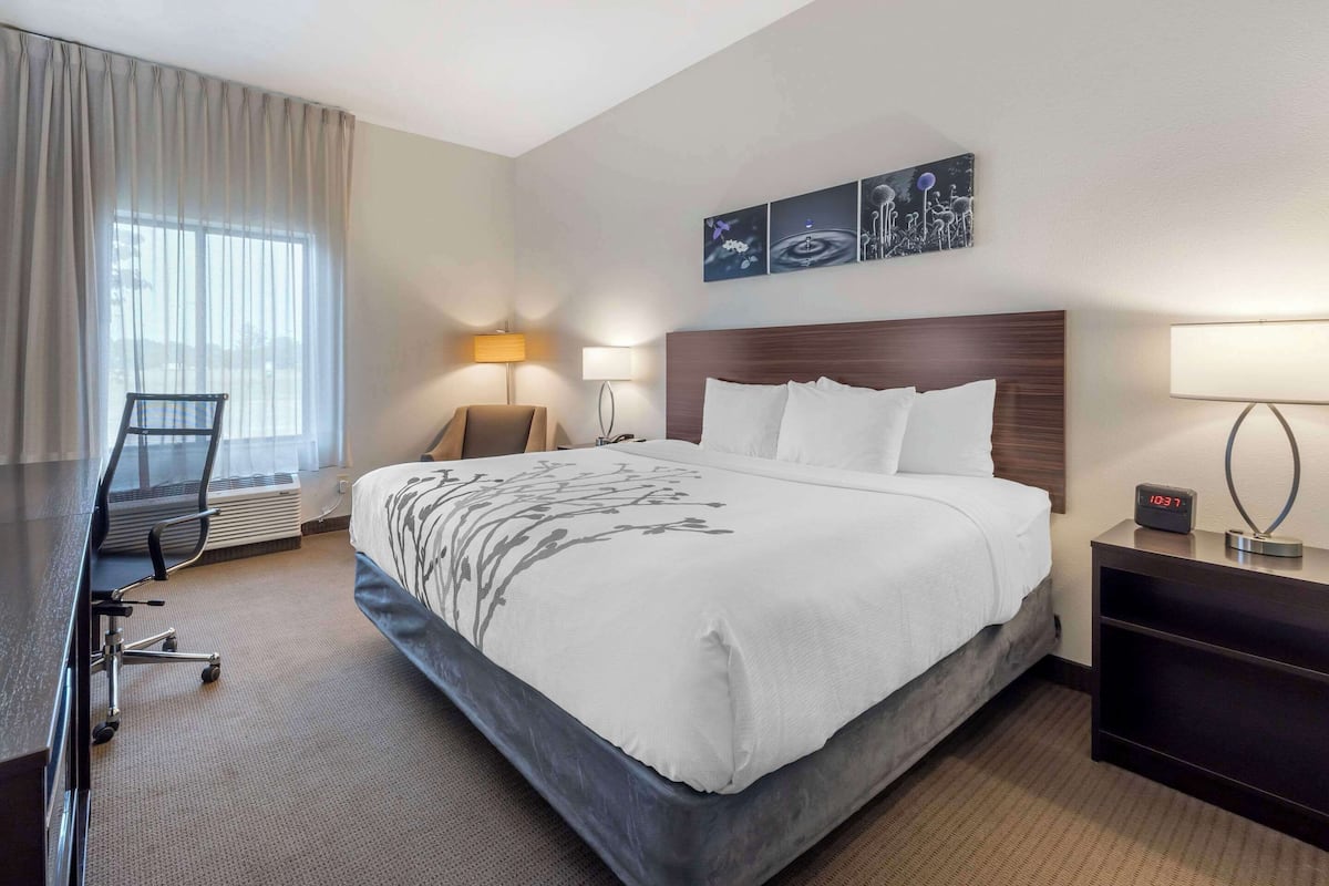 Premium bedding, down comforters, pillowtop beds, in-room safe