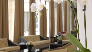 A modern lobby with a sofa set, a coffee table, and a potted orchid. - Grand Hotel Duca di Mantova (Sesto San Giovanni)