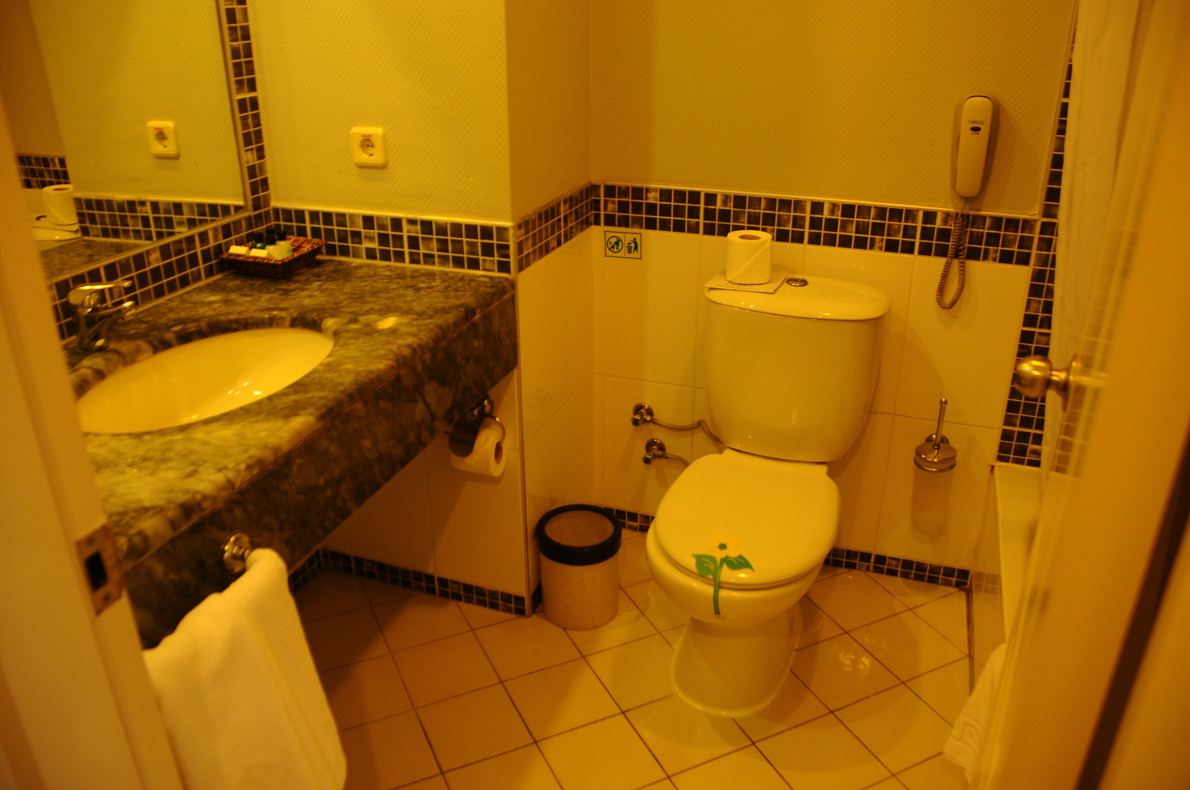 Ein Badezimmer mit Waschbecken, Toilette und Mülleimer.