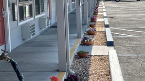 Un edificio con un paseo techado, plantas en macetas y un estacionamiento.