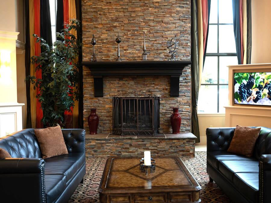A living room with a stone fireplace, two leather sofas, a coffee table, and a large plant.