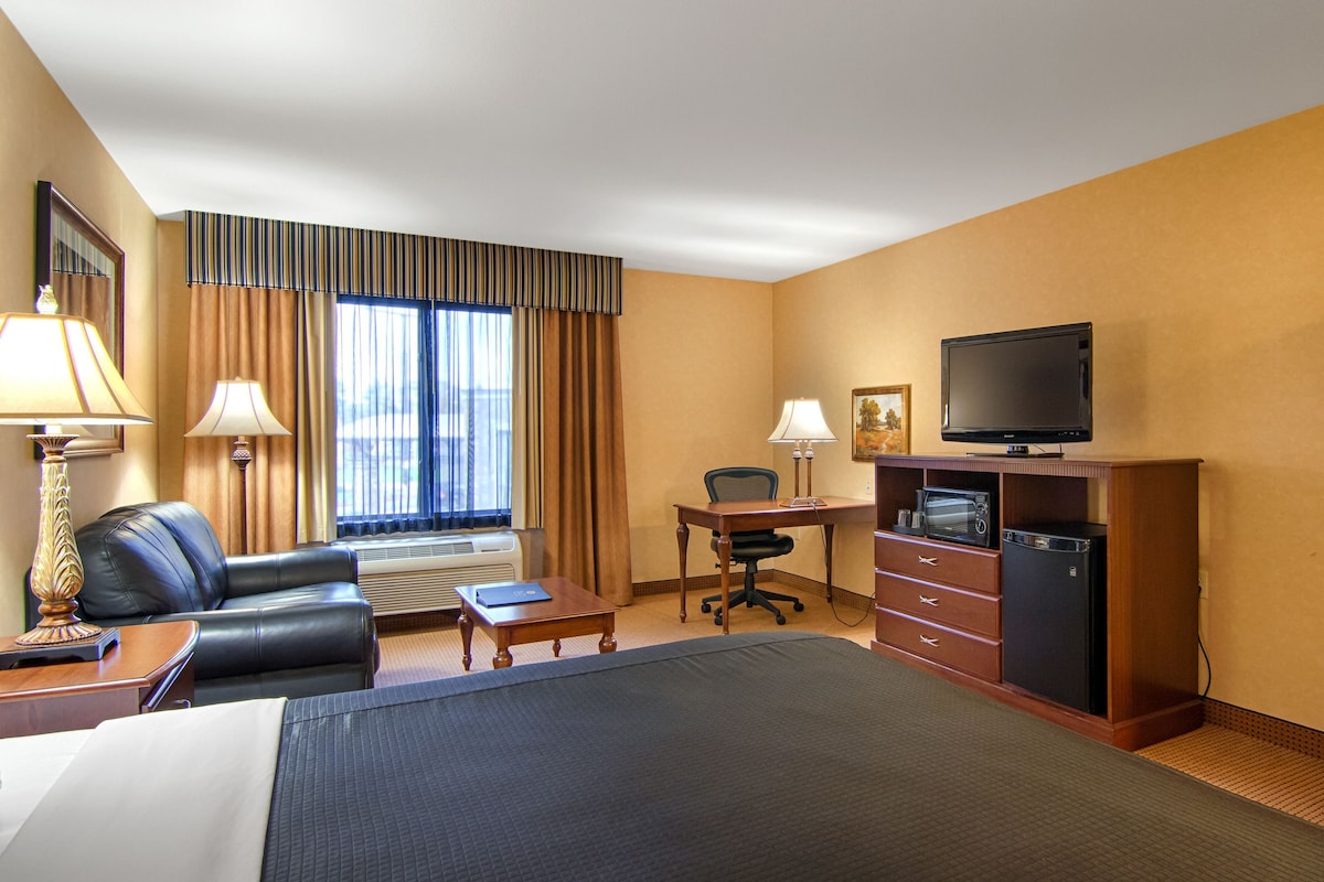 A hotel room with a bed, a desk, a chair, a television, and a minibar.
