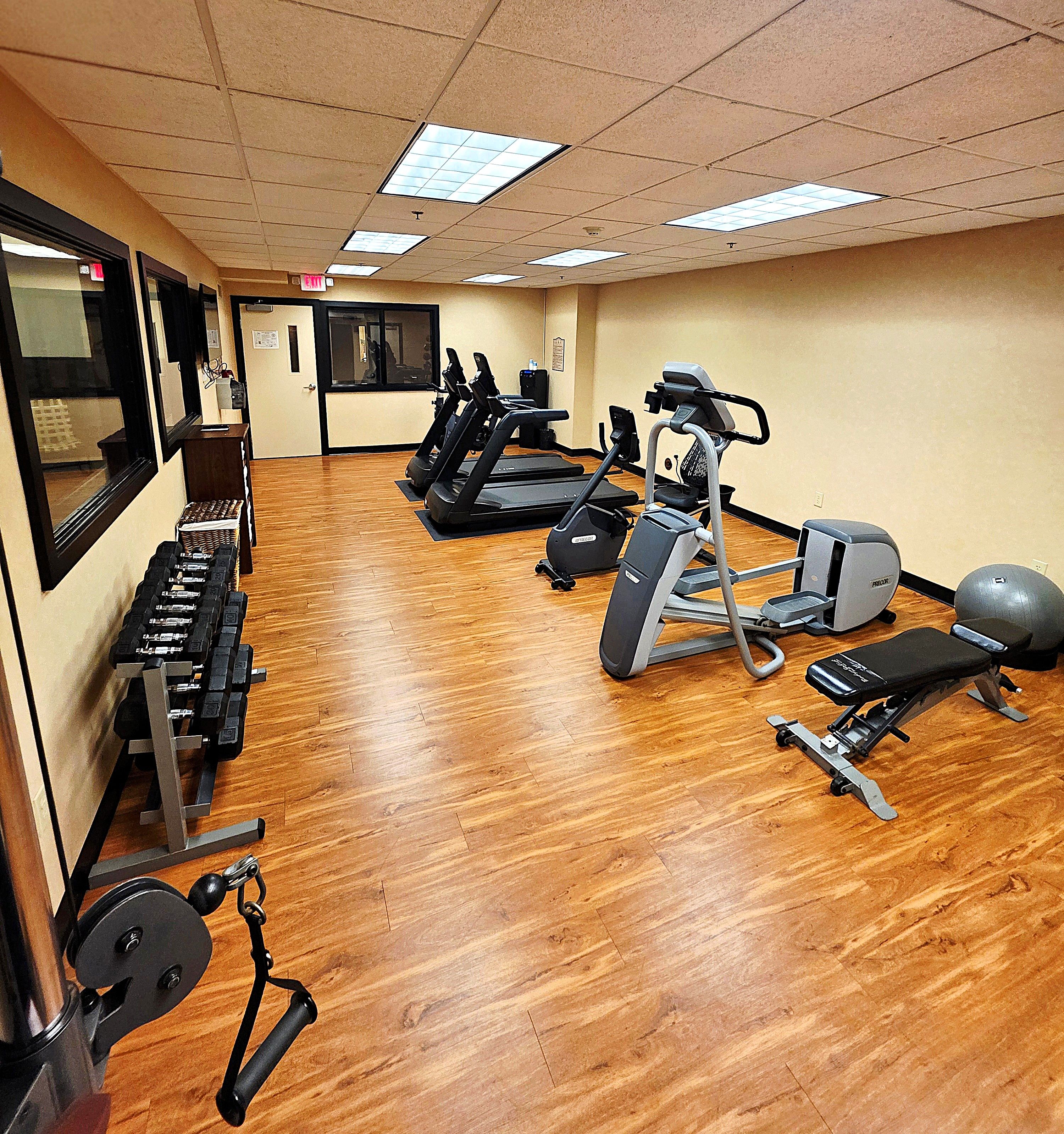 A gym with treadmills, elliptical machines, and free weights.