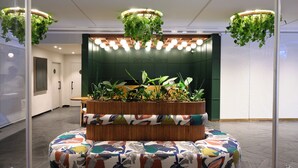 A reception area with a central planter, a seating area with colorful cushions, and a wall with the text "Prima Vera". - Prima Vera (Jerusalem)