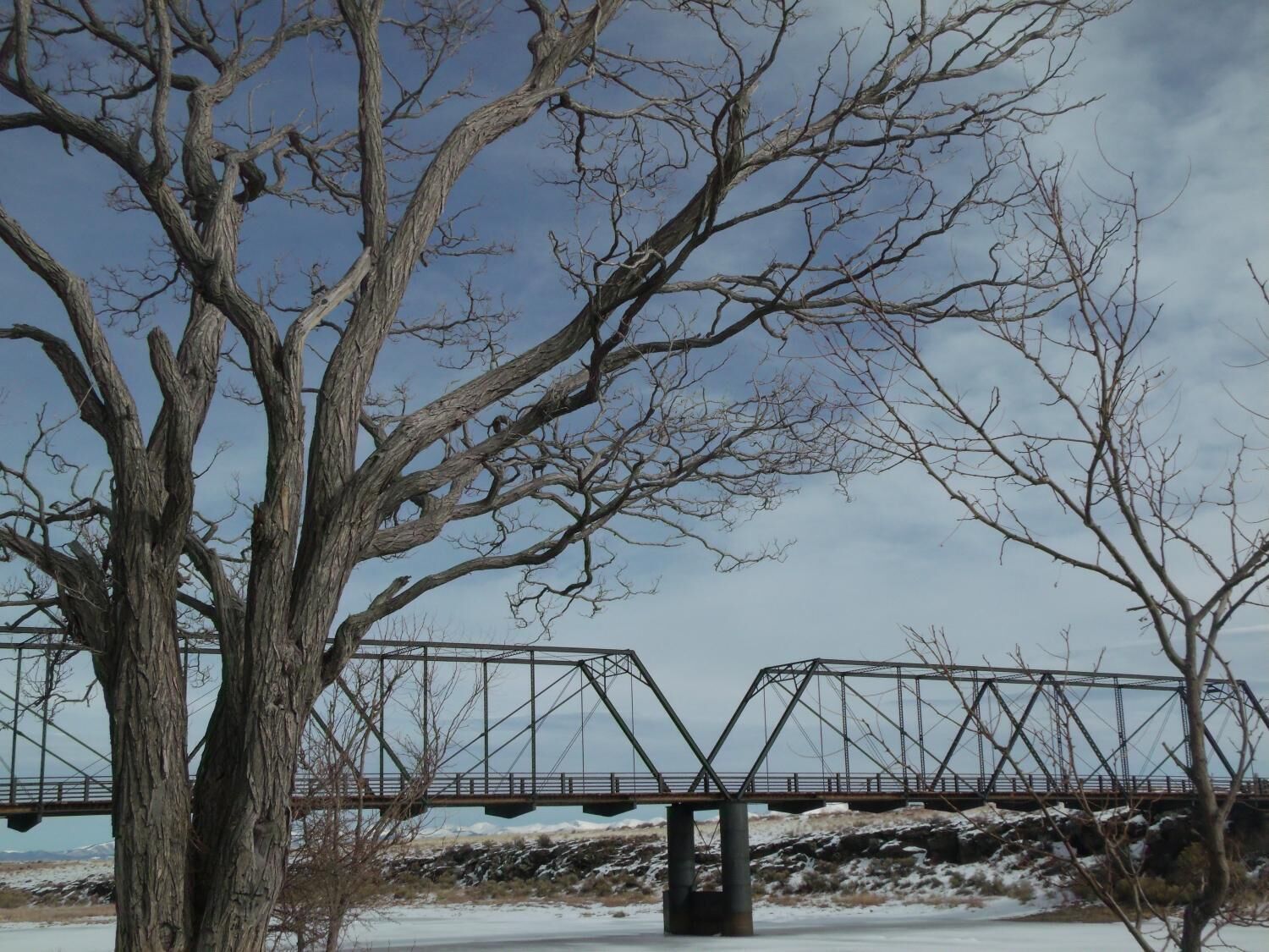 Un puente con estructura metálica, rodeado de árboles desnudos y un paisaje nevado.