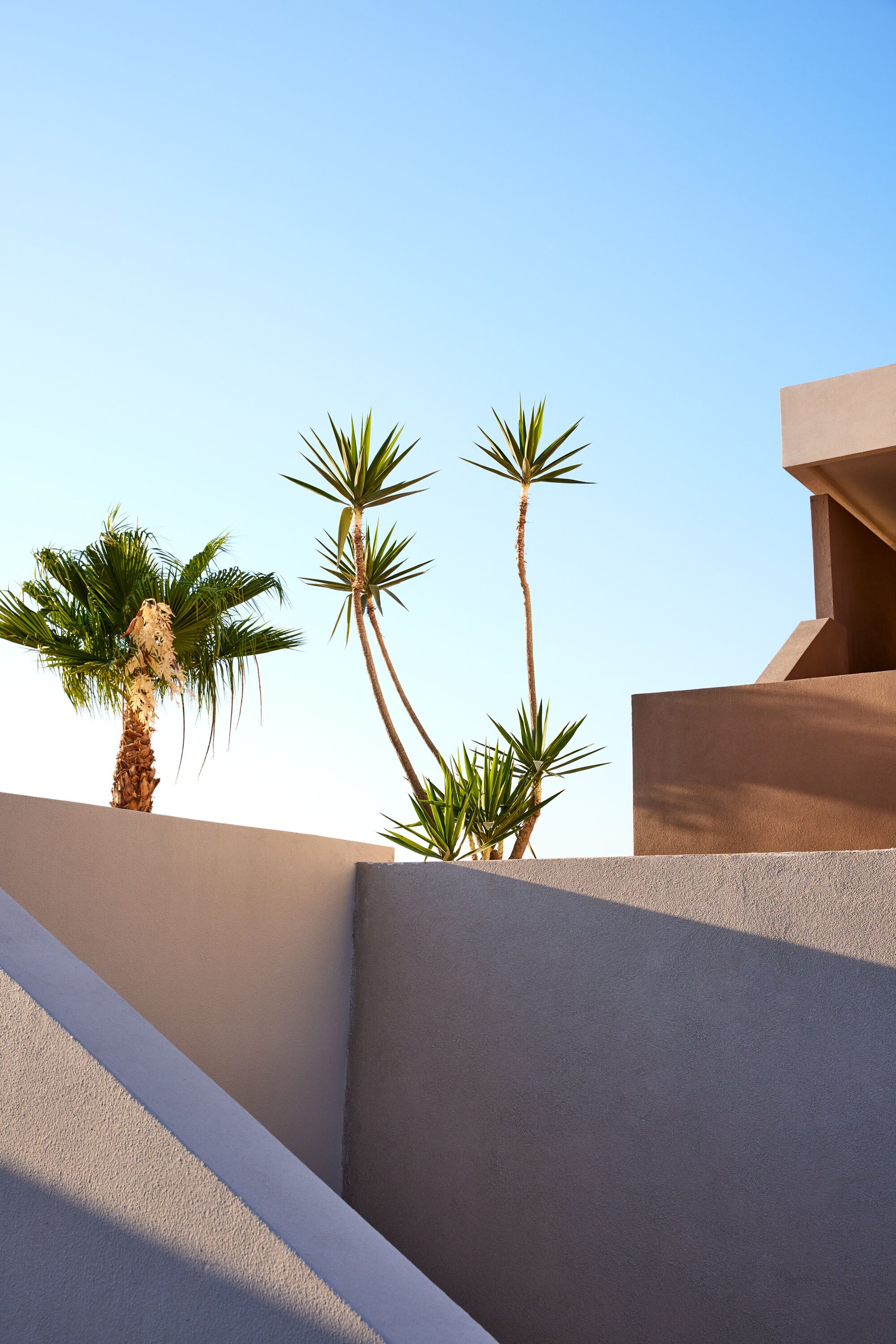 A modern building with a geometric design and palm trees.