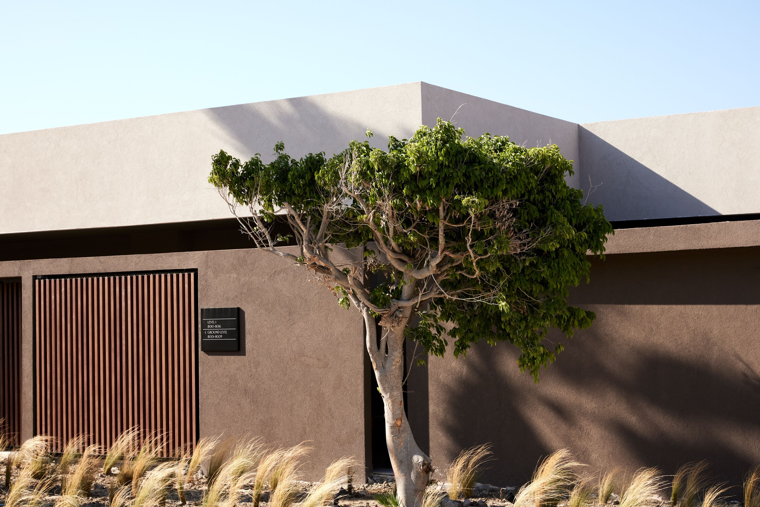 Un bâtiment moderne avec un arbre devant, un panneau vertical en bois et une enseigne avec du texte.