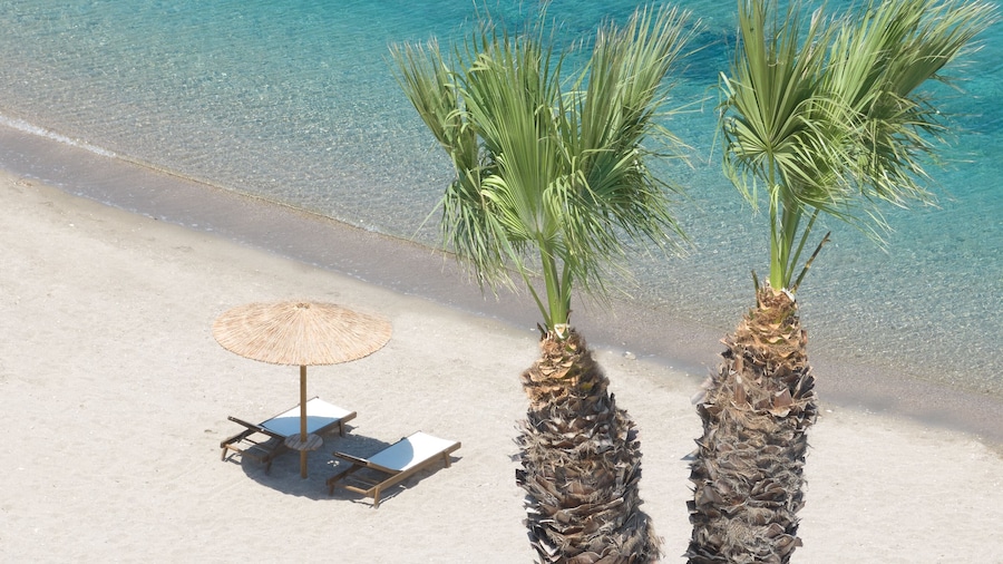 Ella Elissa – Adults Only