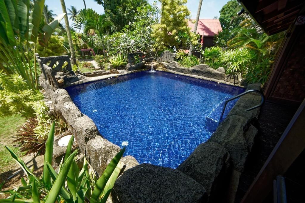 A swimming pool with a stone border, surrounded by tropical plants and a small waterfall feature.