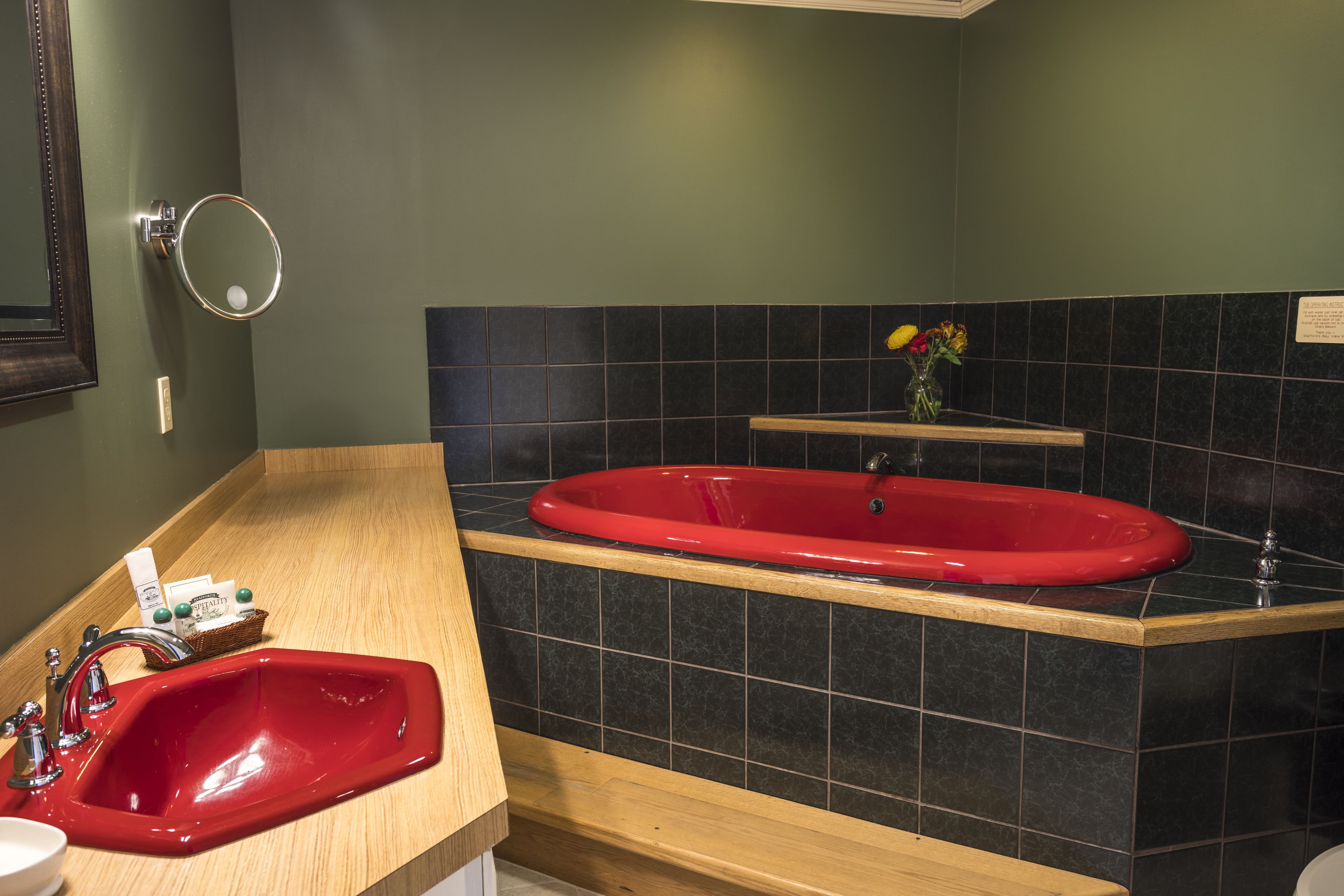 aster suite, jetted tub, 1 queen bed | bathroom | free toiletries, hair dryer, towels