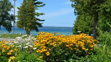 Un jardín costero con flores amarillas, árboles y vistas al mar.