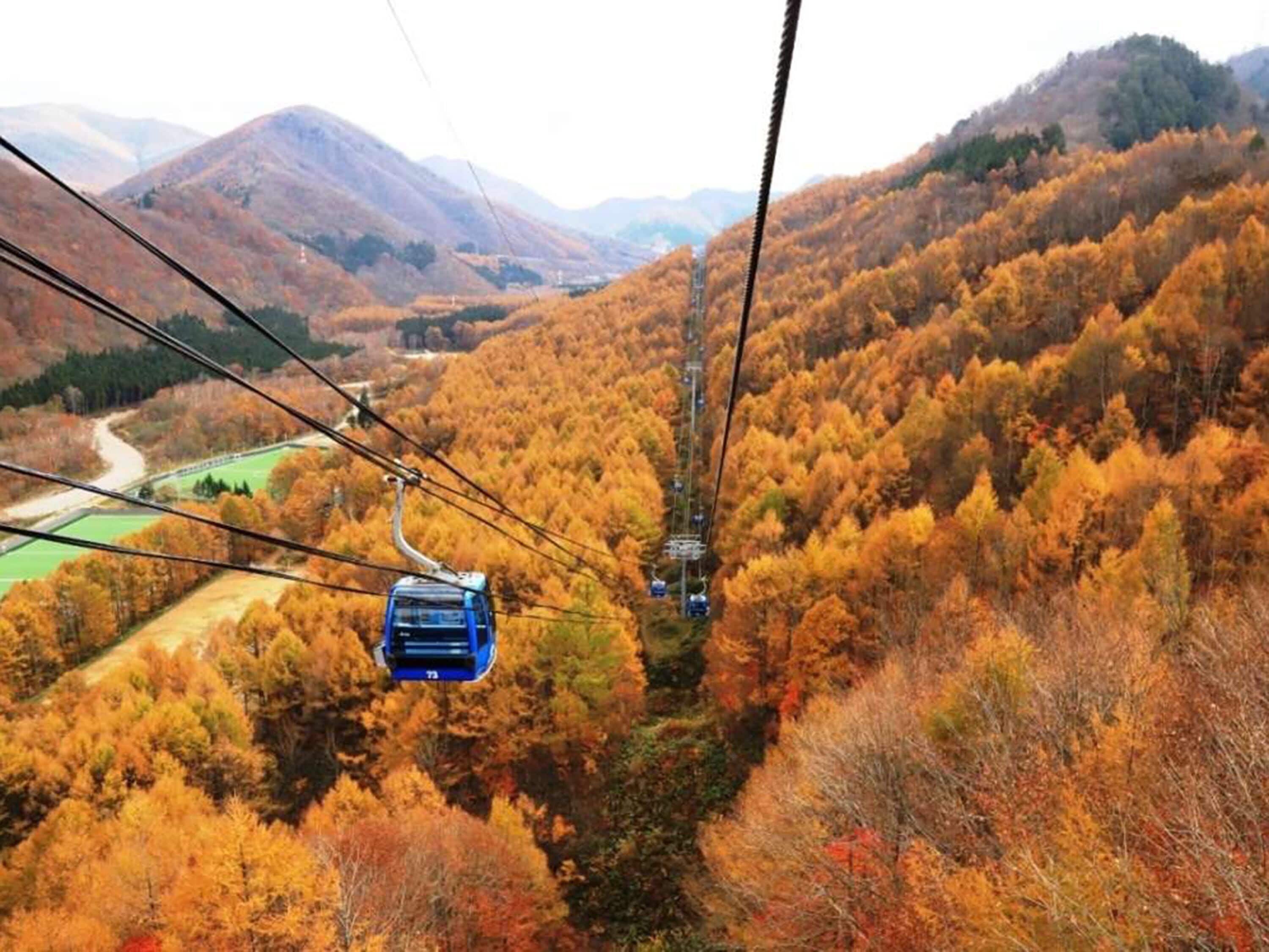 A cable car system in a mountainous area with autumn foliage.