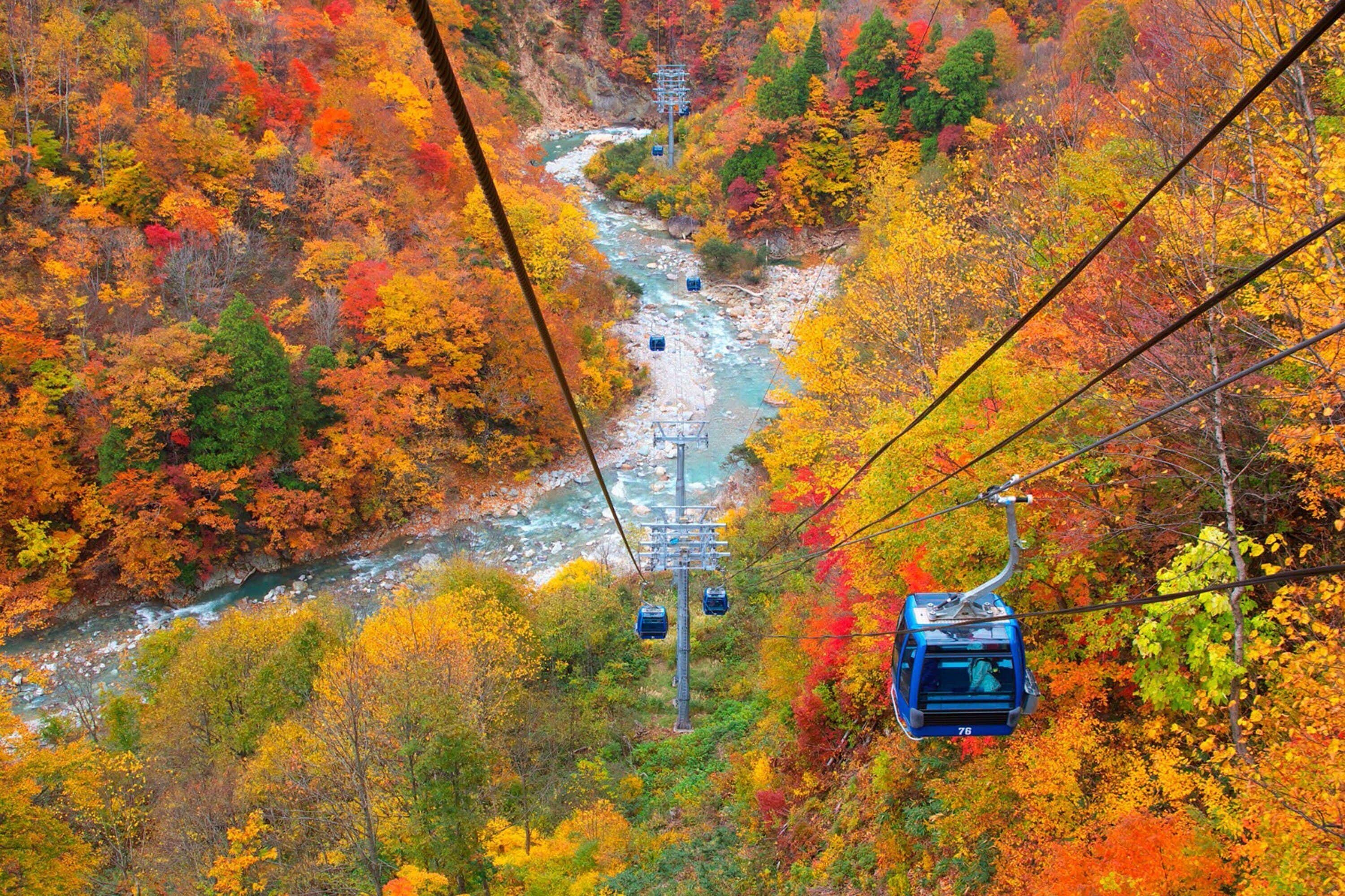 A cable car system in a forested area with a river below.