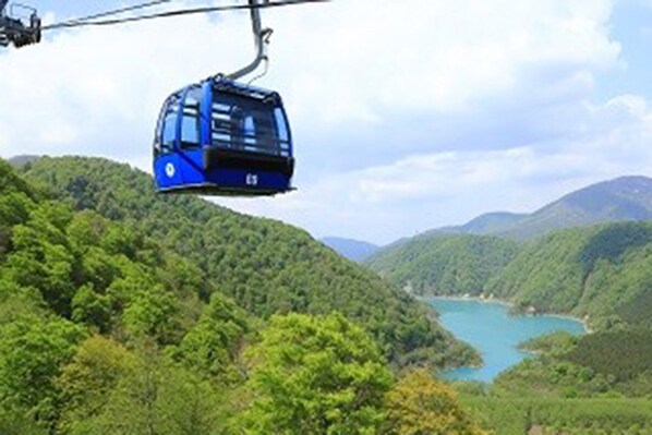 A cable car suspended over a lush green valley with a lake below. - Naeba Prince Hotel (Yuzawa)