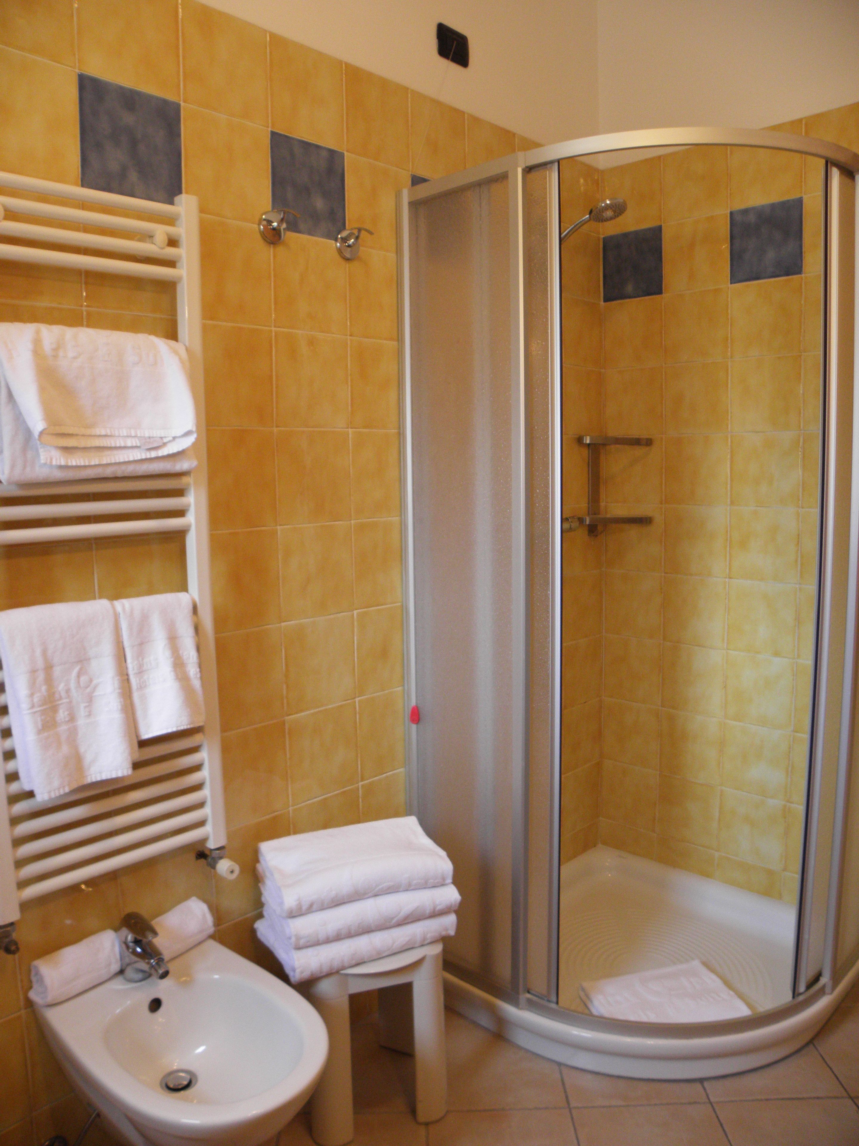 standard room | bathroom | shower, free toiletries, hair dryer, towels
