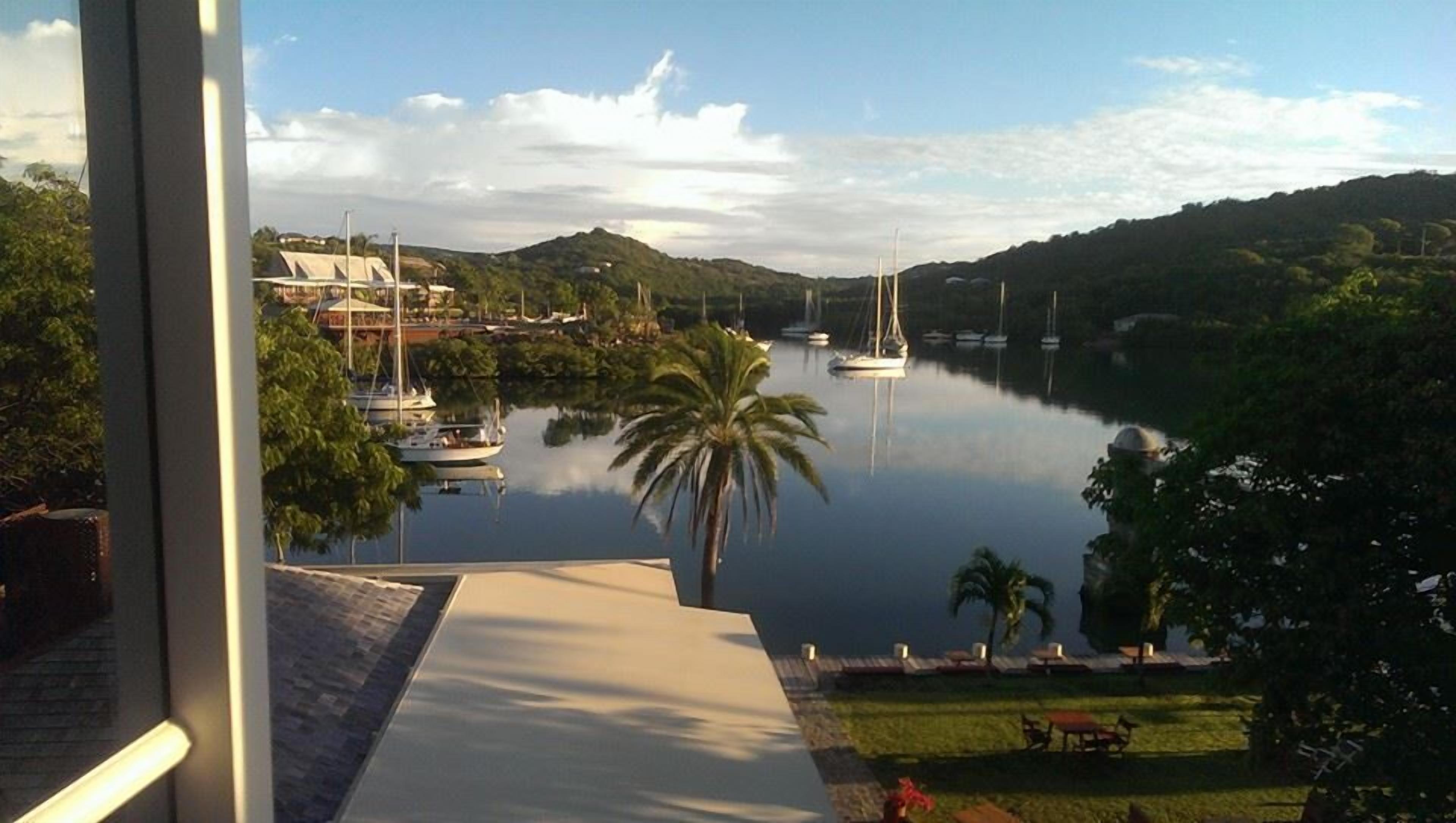 A marina with boats, a palm tree, and a view of hills.