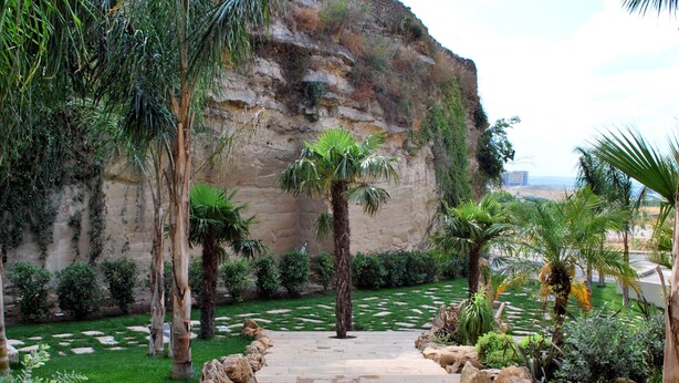 Un escalier en pierre menant à une falaise bordée de palmiers et de verdure.