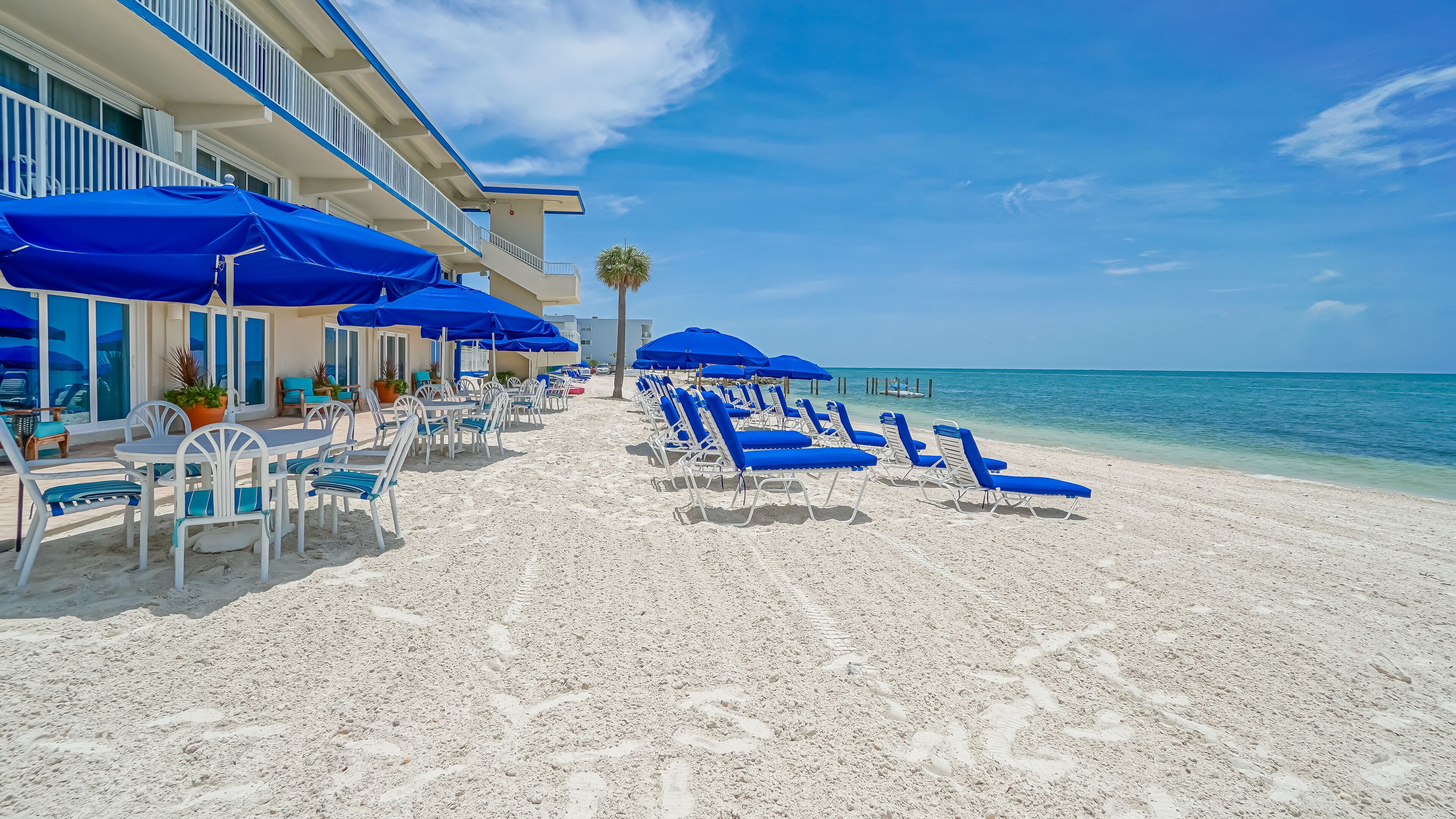 A beachside hotel with rows of blue sun loungers and umbrellas, a palm tree, and a clear view of the ocean.