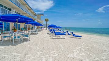 A beachside hotel with rows of blue sun loungers and umbrellas, a palm tree, and a clear view of the ocean.