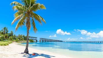 私人海灘、躺椅、遮陽傘、海灘浴巾
