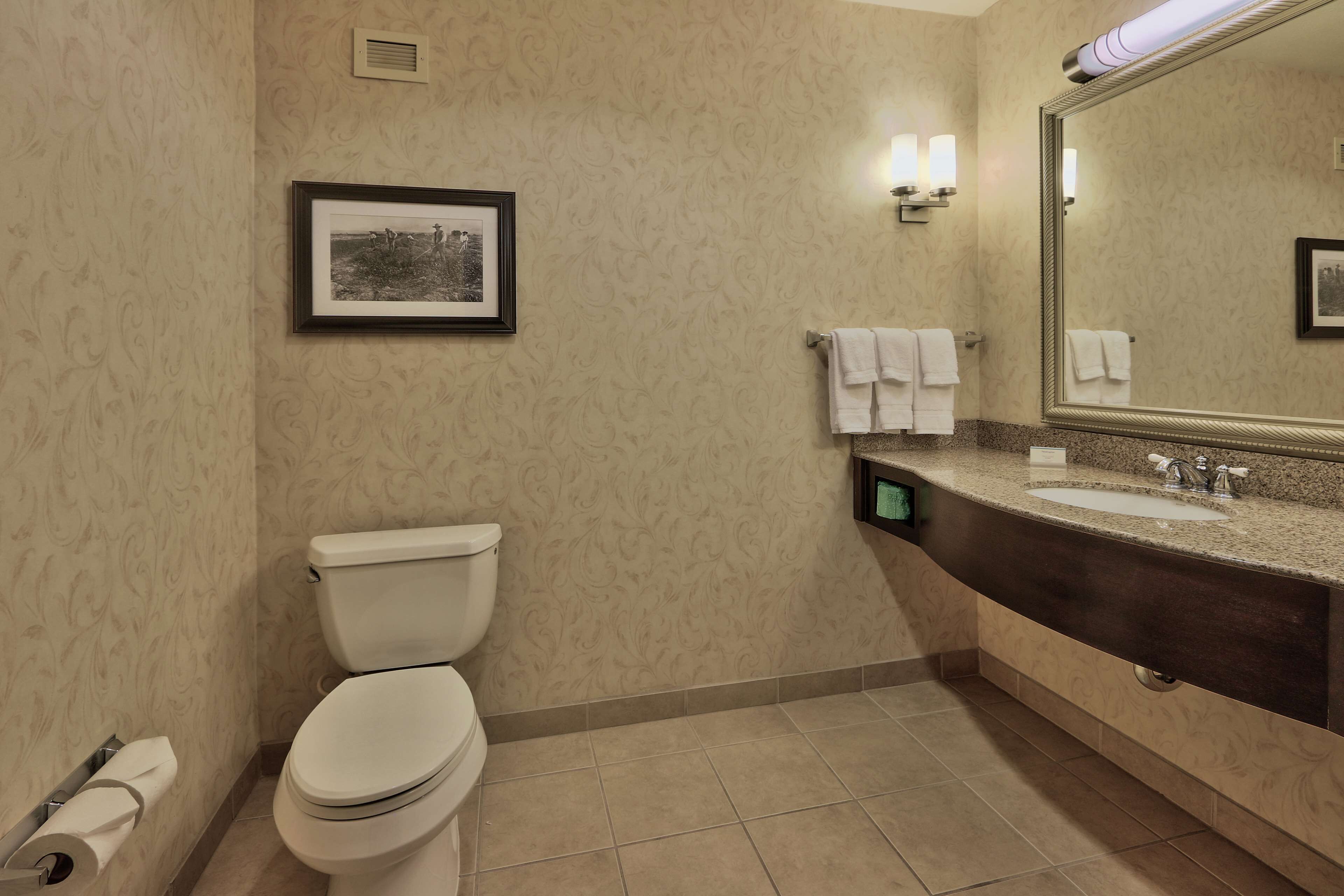 Une salle de bain comprenant des toilettes, un lavabo, un miroir et un tableau encadré accroché au mur.
