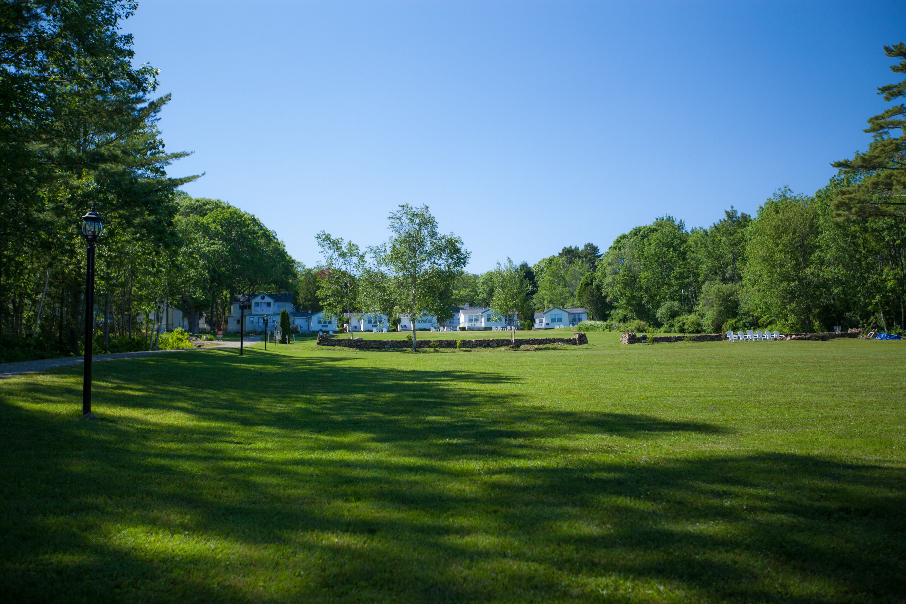 A grassy park area with trees and a few buildings in the background.