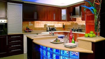 Penthouselejlighed - 2 soveværelser - byudsigt | Privat køkken | Kaffe-/temaskine, køkkentøj/tallerkener/redskaber