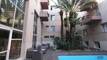 Un área de piscina con sillones de descanso, una piscina pequeña y una palmera.