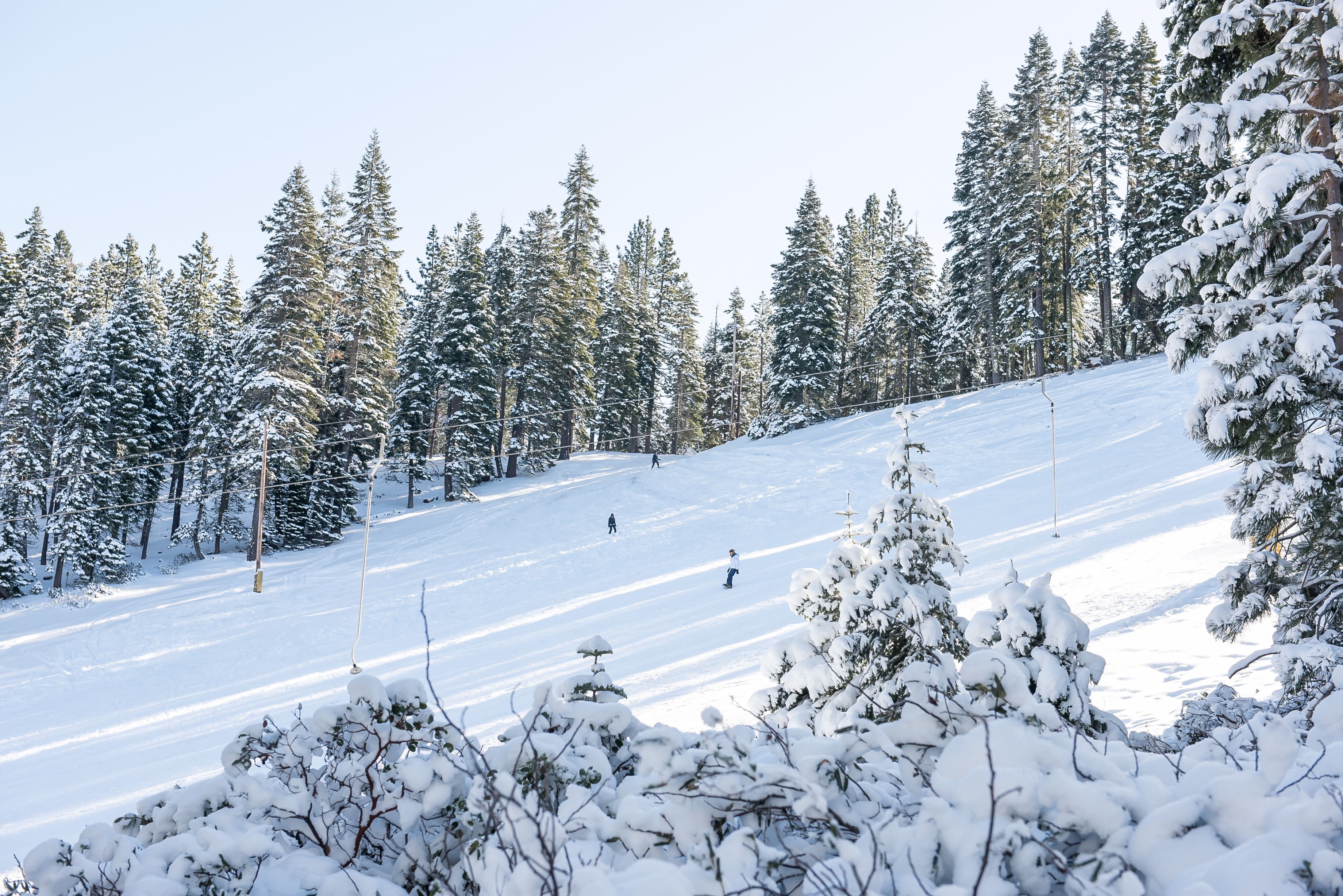 Une piste de ski enneigée, bordée d’arbres, sous un ciel dégagé.
