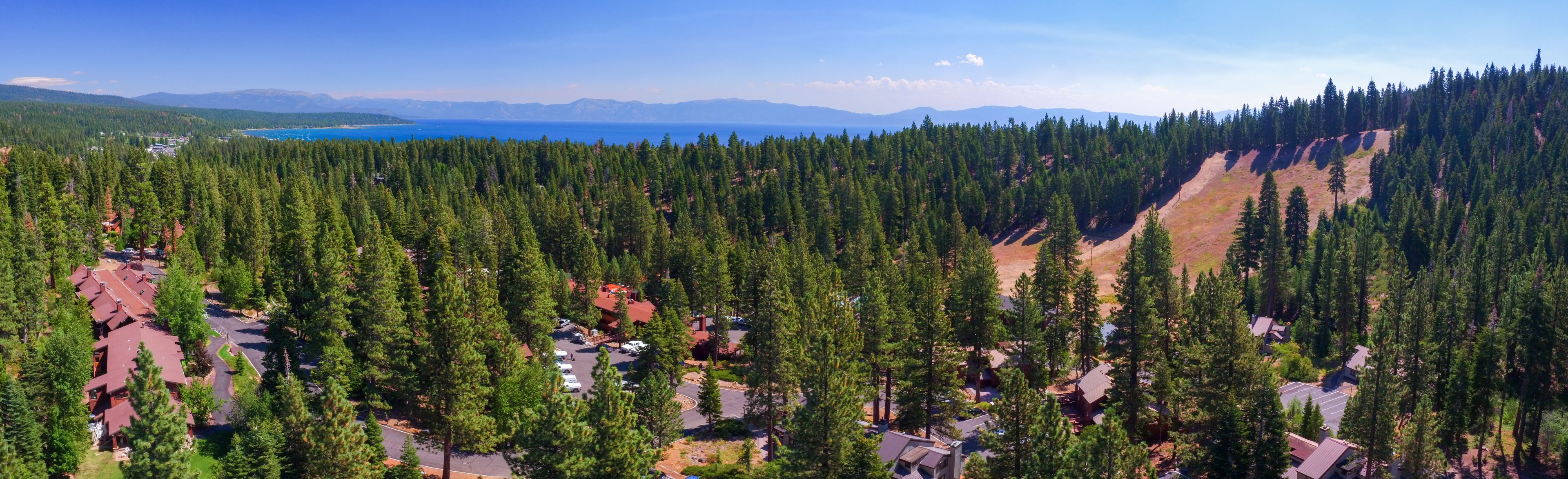 A forested area with a clear view of a lake and mountains in the distance.