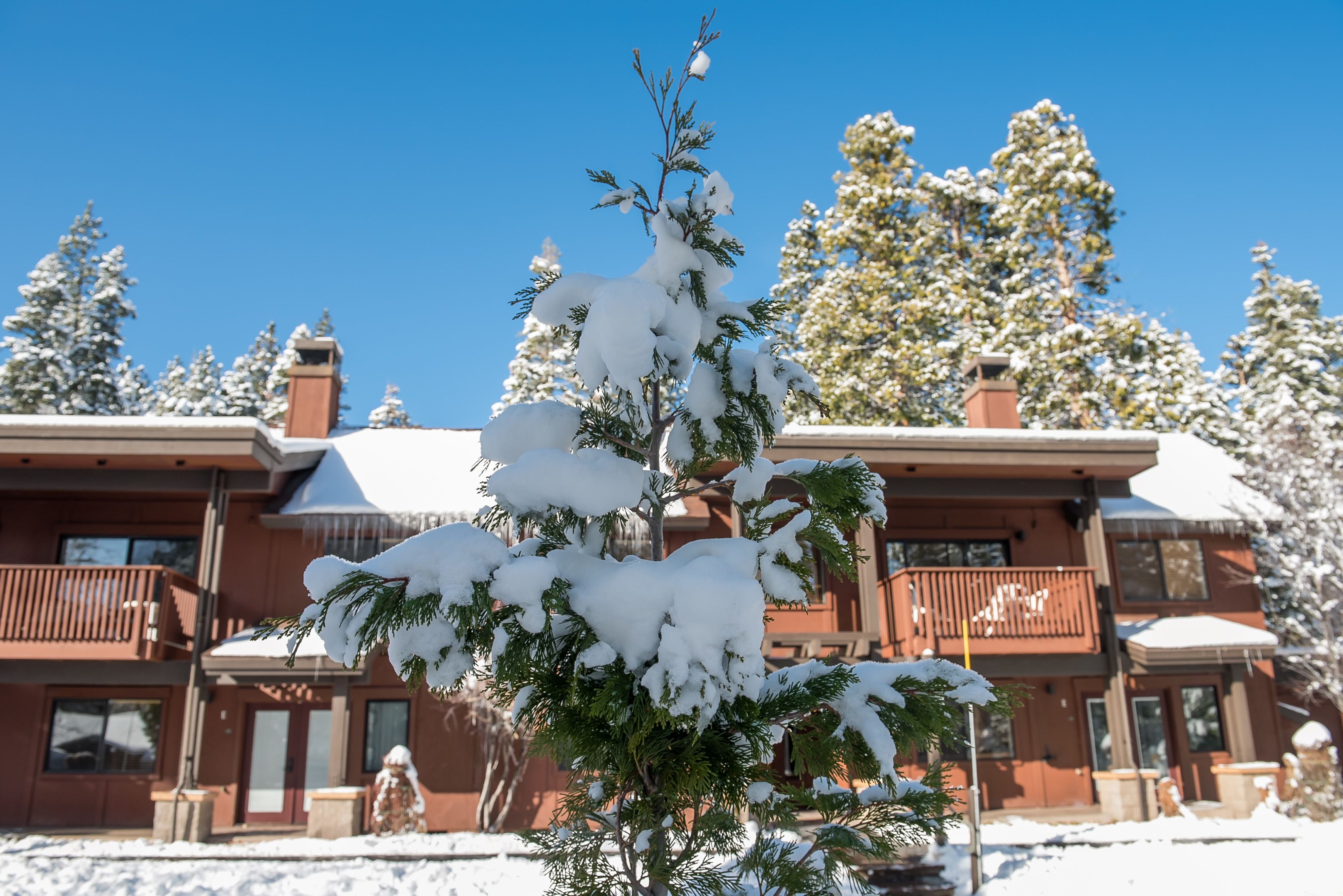 A two-story building with a snow-covered roof and a balcony.