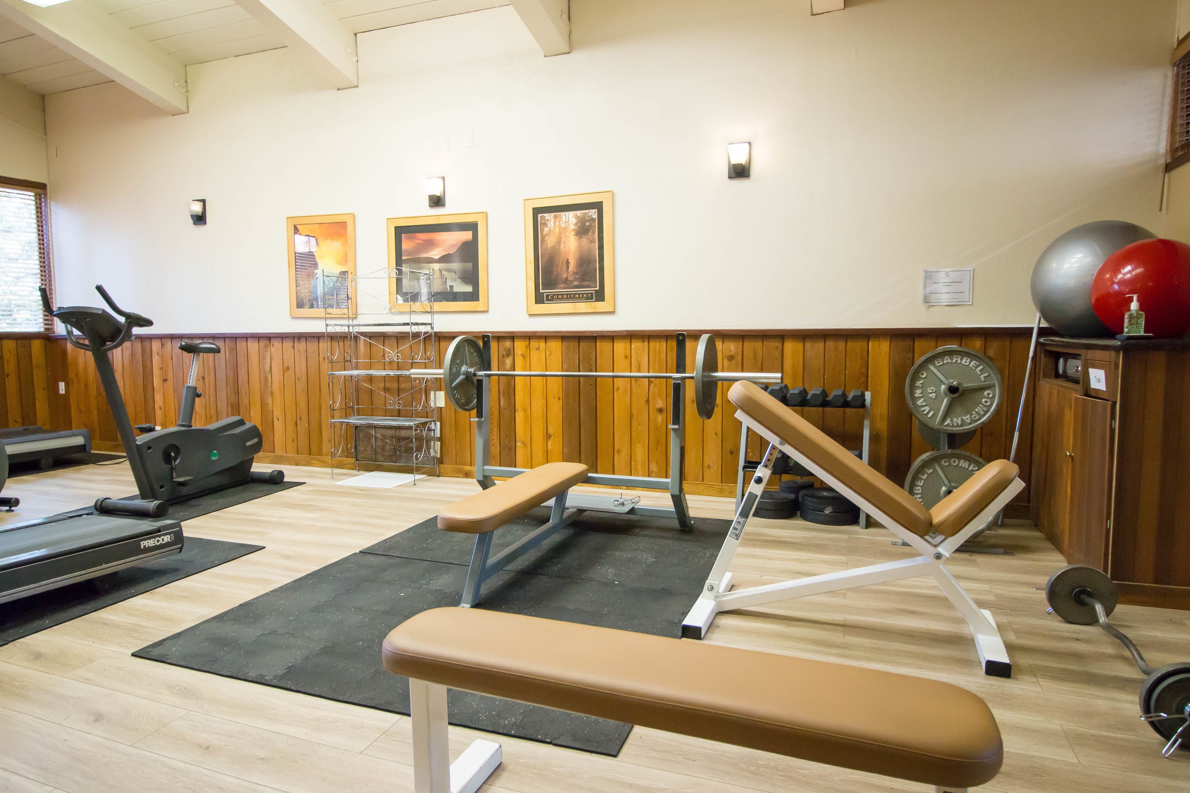 A gym with exercise equipment, a treadmill, and a bench.