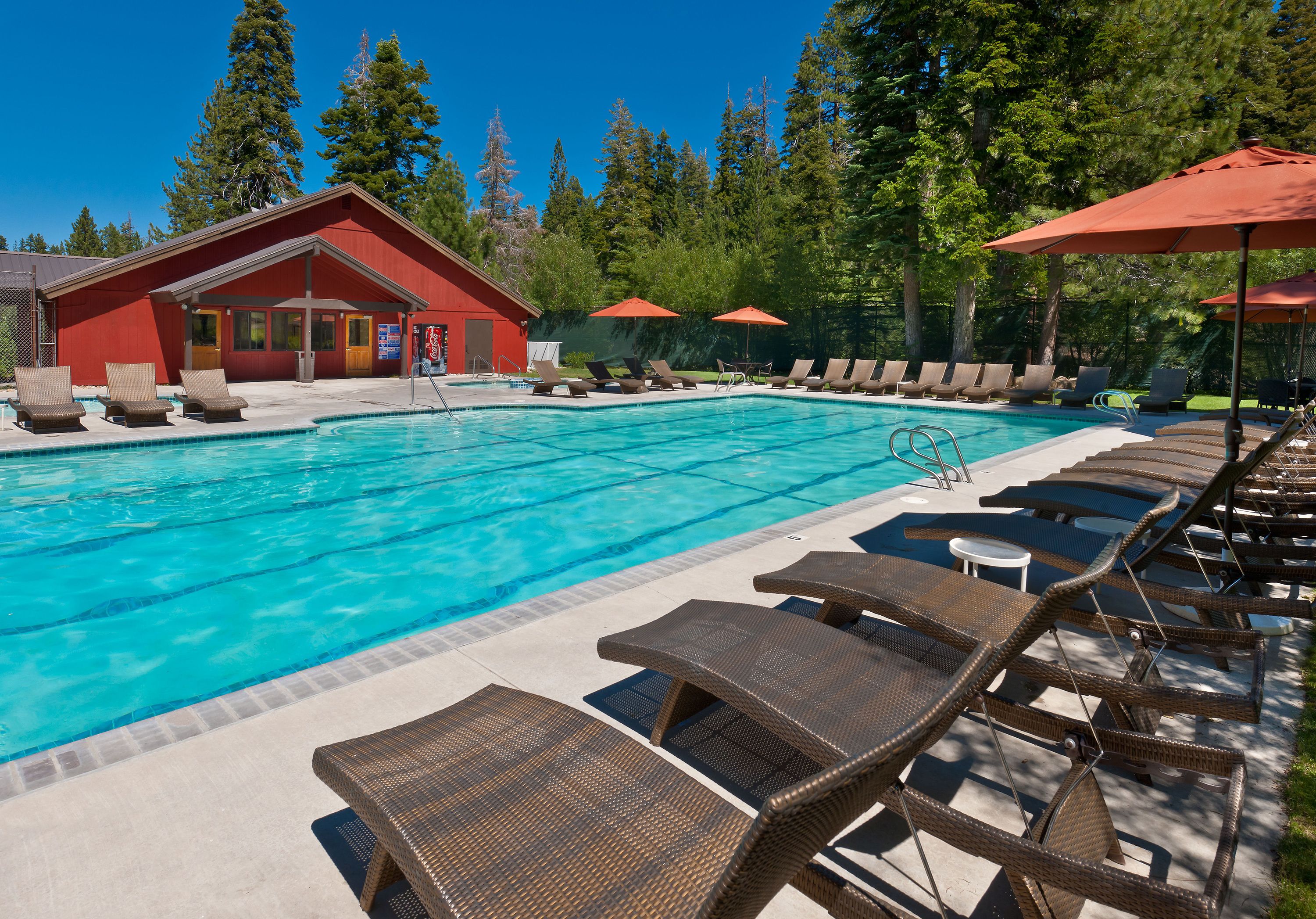 A swimming pool with lounge chairs and umbrellas, surrounded by trees and a building.