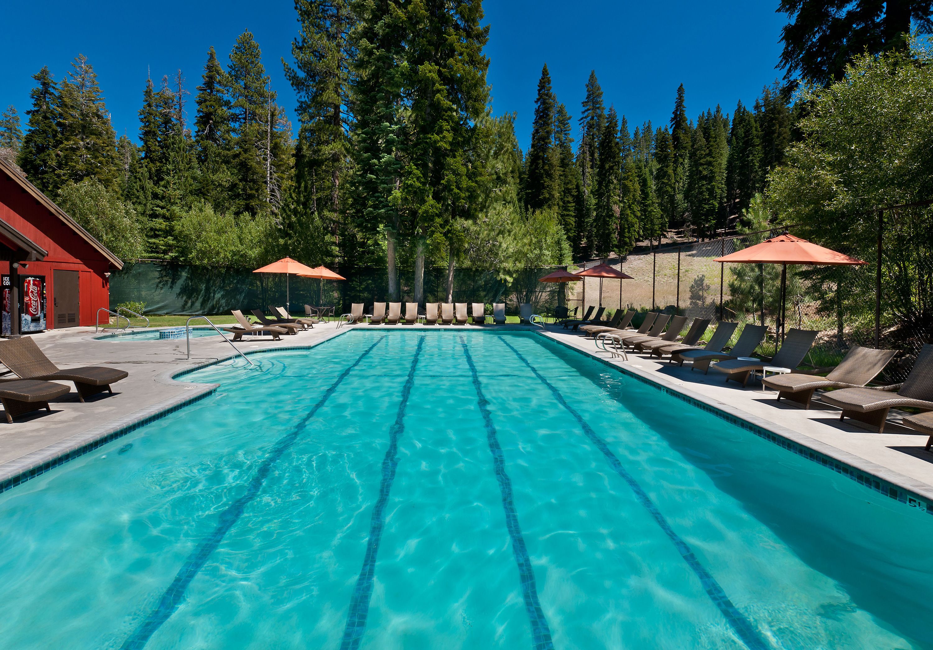 A swimming pool with lounge chairs and umbrellas, surrounded by trees.