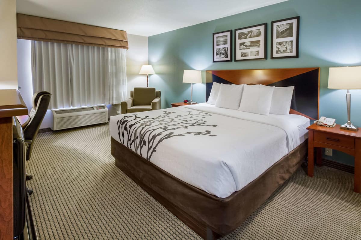 Une chambre d’hôtel avec un grand lit, deux tables de chevet, une chaise, un bureau et une fenêtre avec des rideaux.