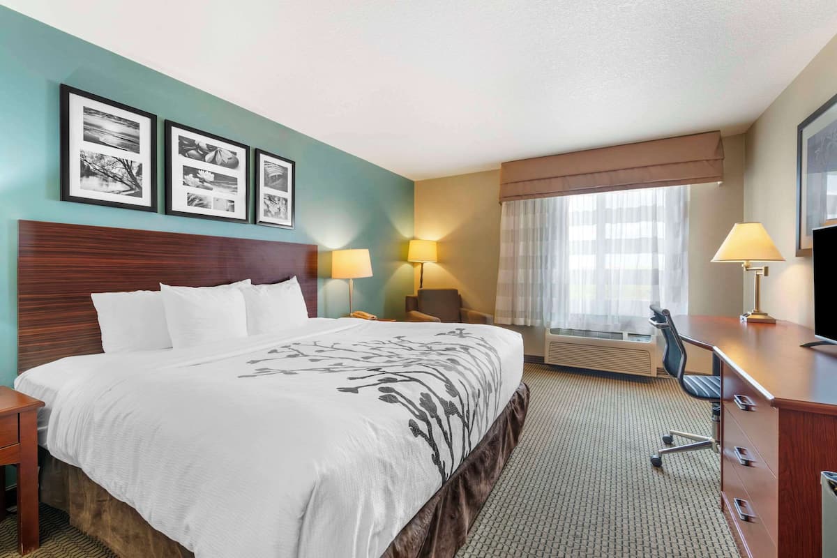 Standard Room, 1 King Bed, Non Smoking | Down duvets, pillow-top beds, desk, laptop workspace