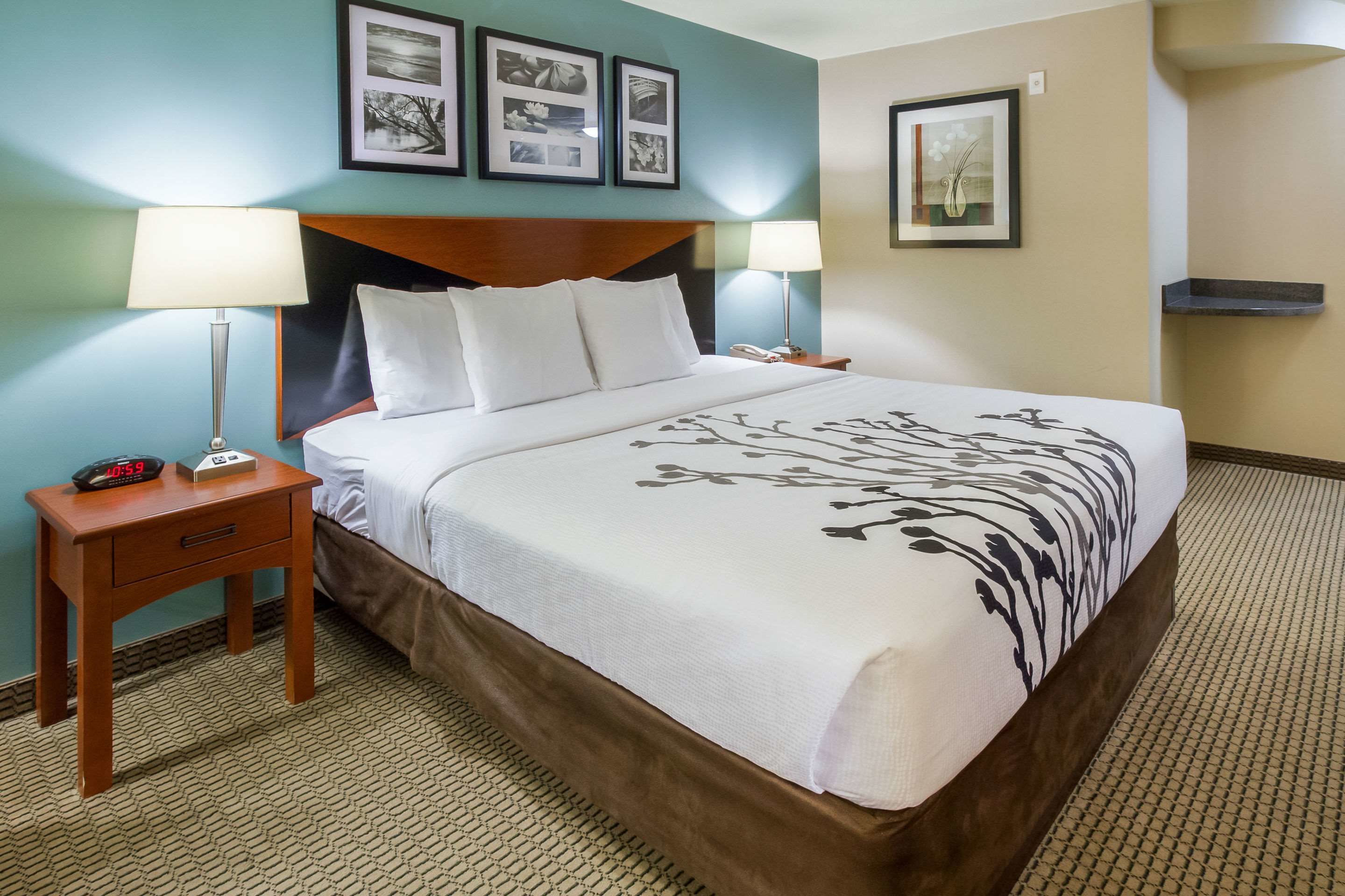 standard room, 1 king bed | down duvets, pillow-top beds, desk, laptop workspace