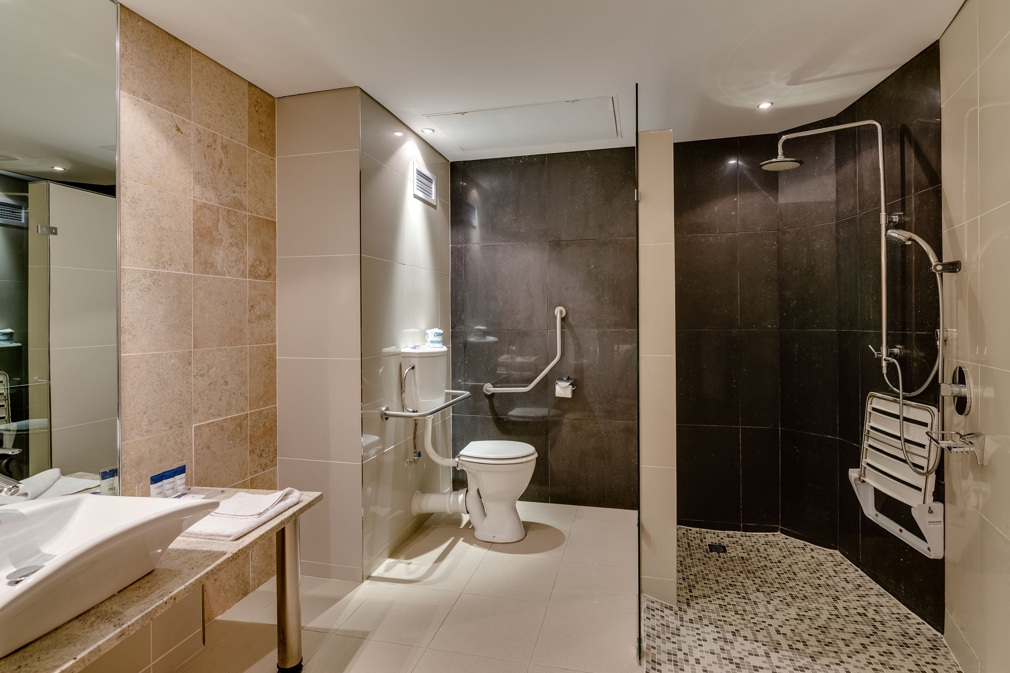 A modern bathroom with a toilet, sink, and shower area, including grab bars and a handrail.