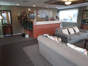 A reception area with a wooden desk, a grey sofa, and a large potted plant.